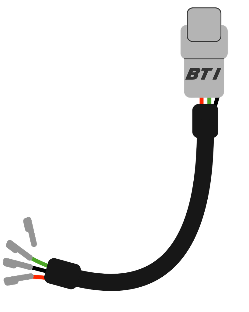 AEM Net Pigtail