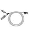 Link DTM 6 Pin Harness