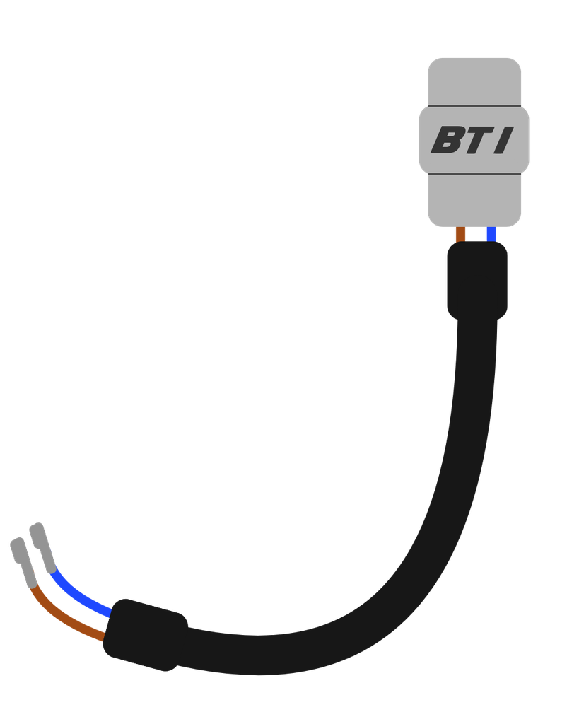 AEM 2 Pin Pigtail